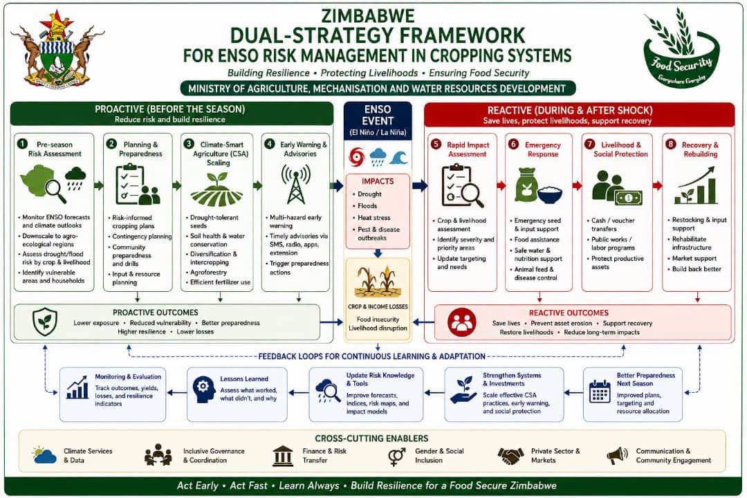 DUAL STRATEGY
