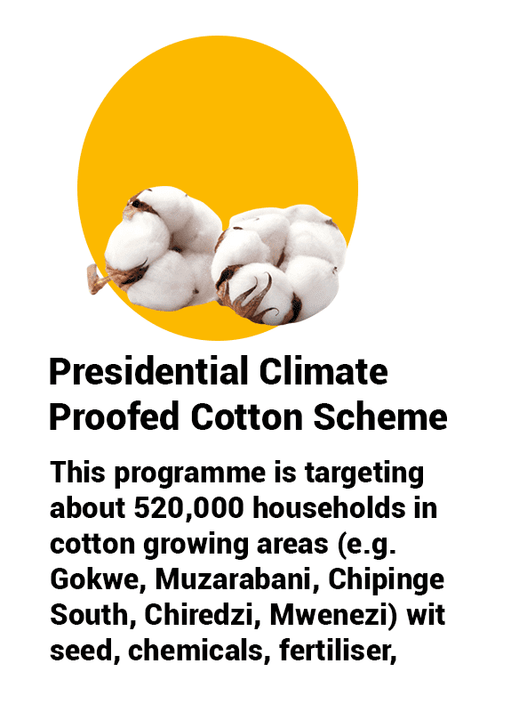 cotton